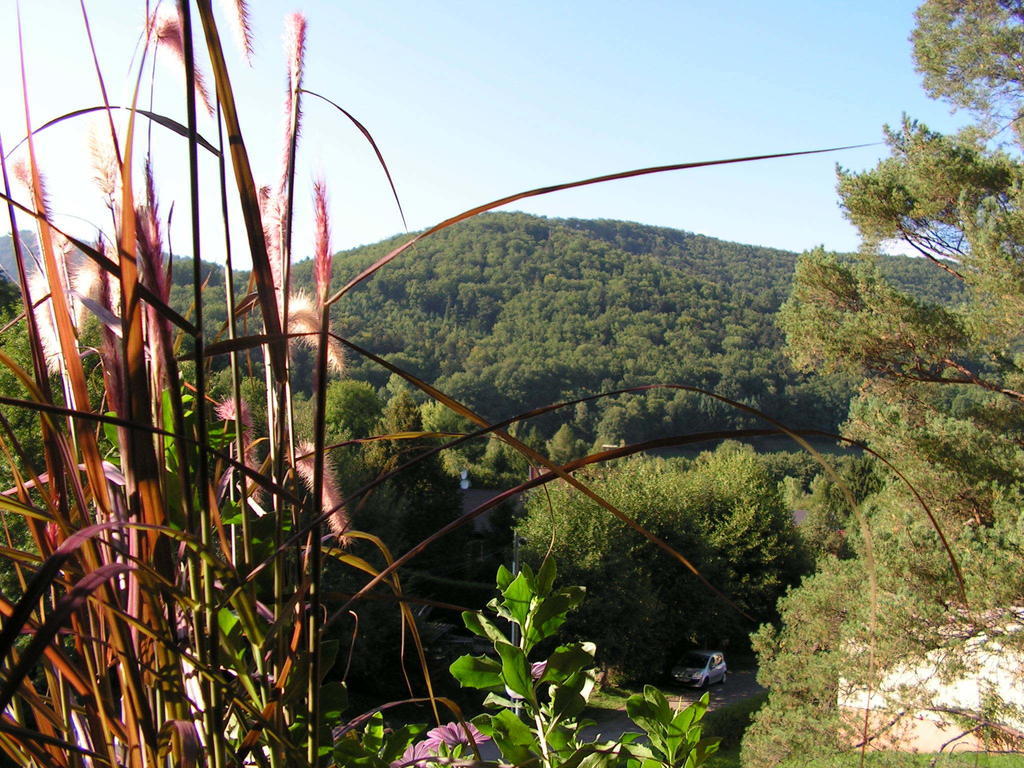 Buhl De Bonheur Villa Guebwiller Exterior foto